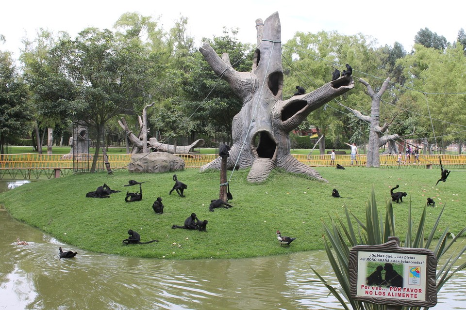 Colombia - Tocancipá - Affen und Enten