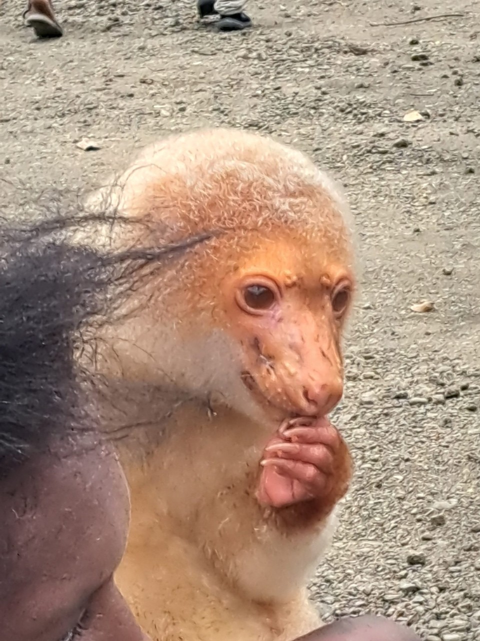 Papua-Neuguinea -  - 
