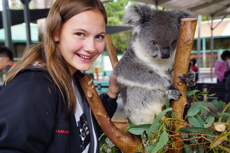 Australien - Perth - Imagin, acht Jahre alt 🐨🐨🐨