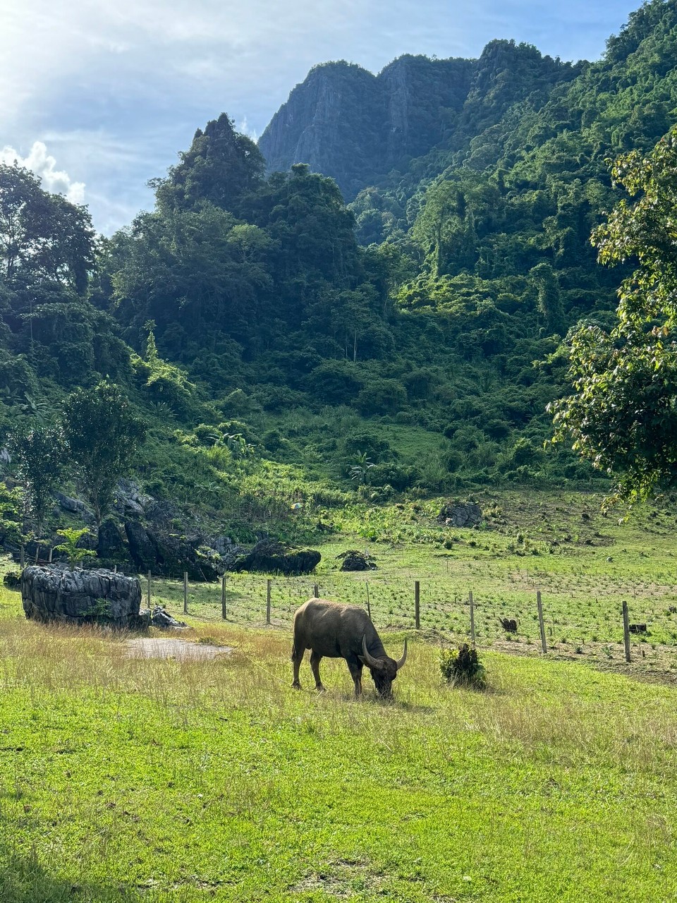 Laos - Vang Vieng - 