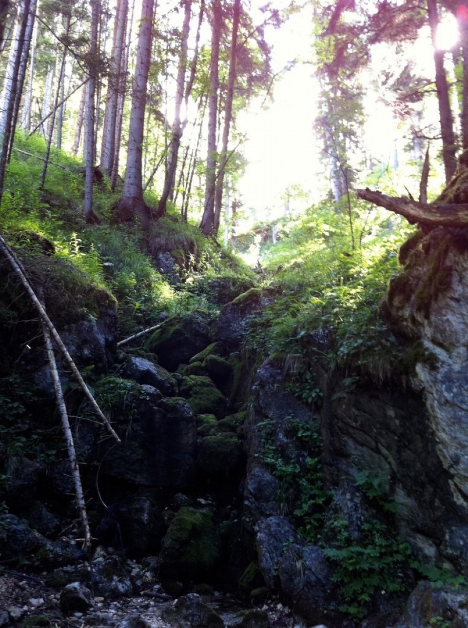 Deutschland - Schliersee - 