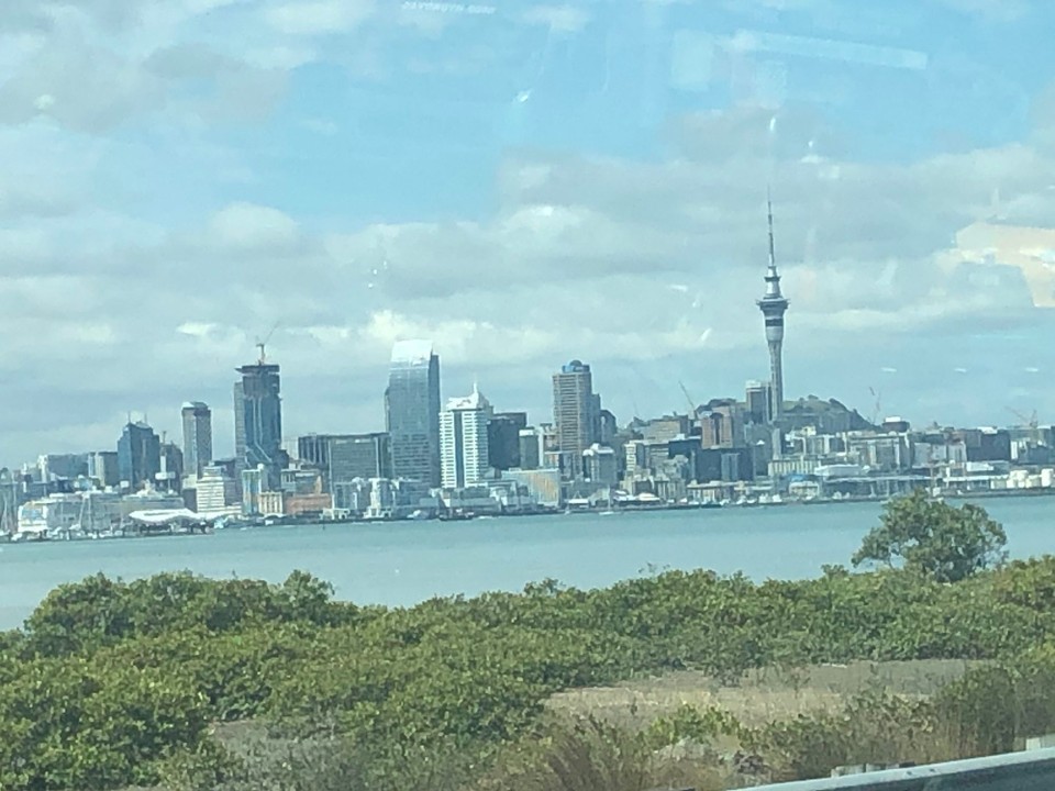 Neuseeland - Orakei - Zurück in Auckland 