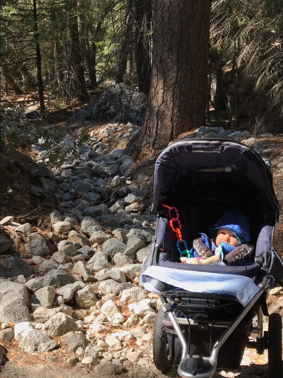 Vereinigte Staaten - Yosemite National Park - 