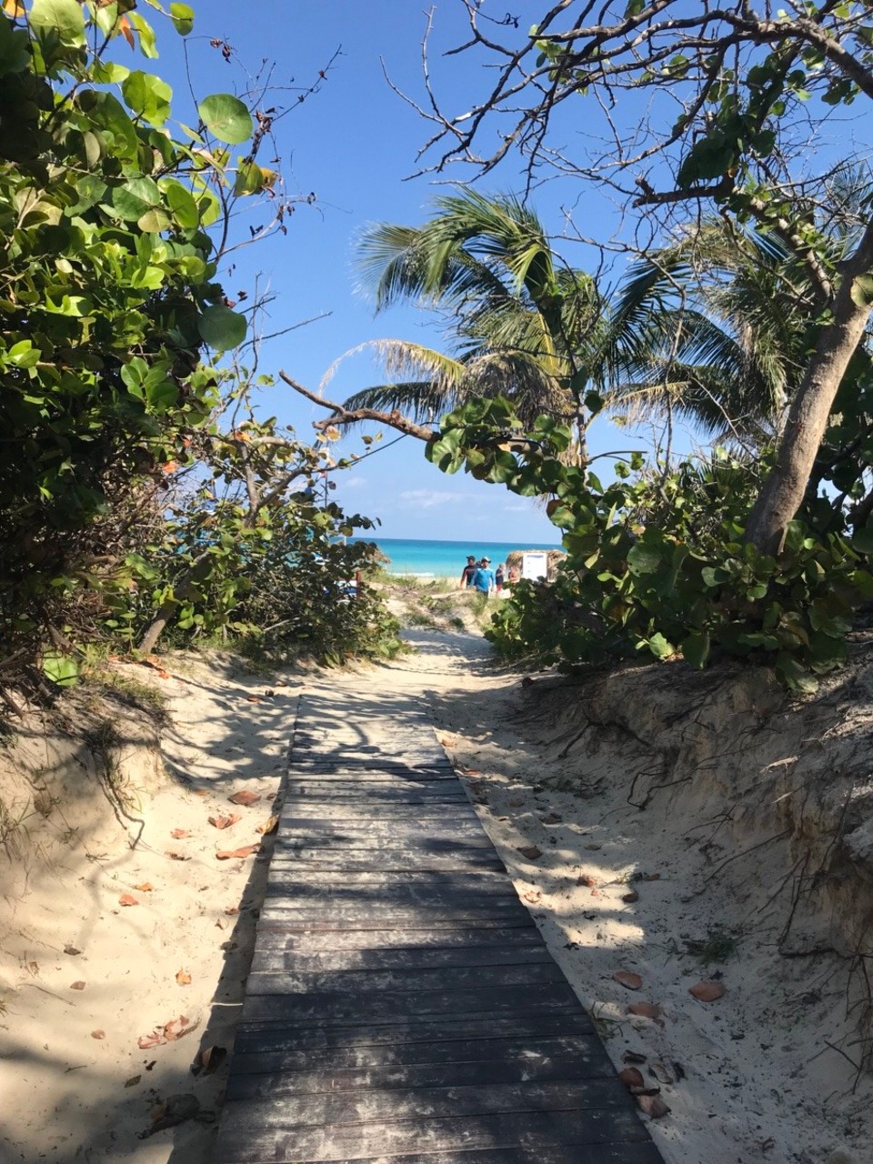 Kuba - Varadero - 