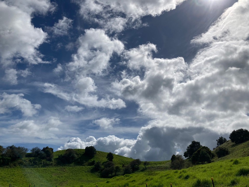 Neuseeland - Auckland - 