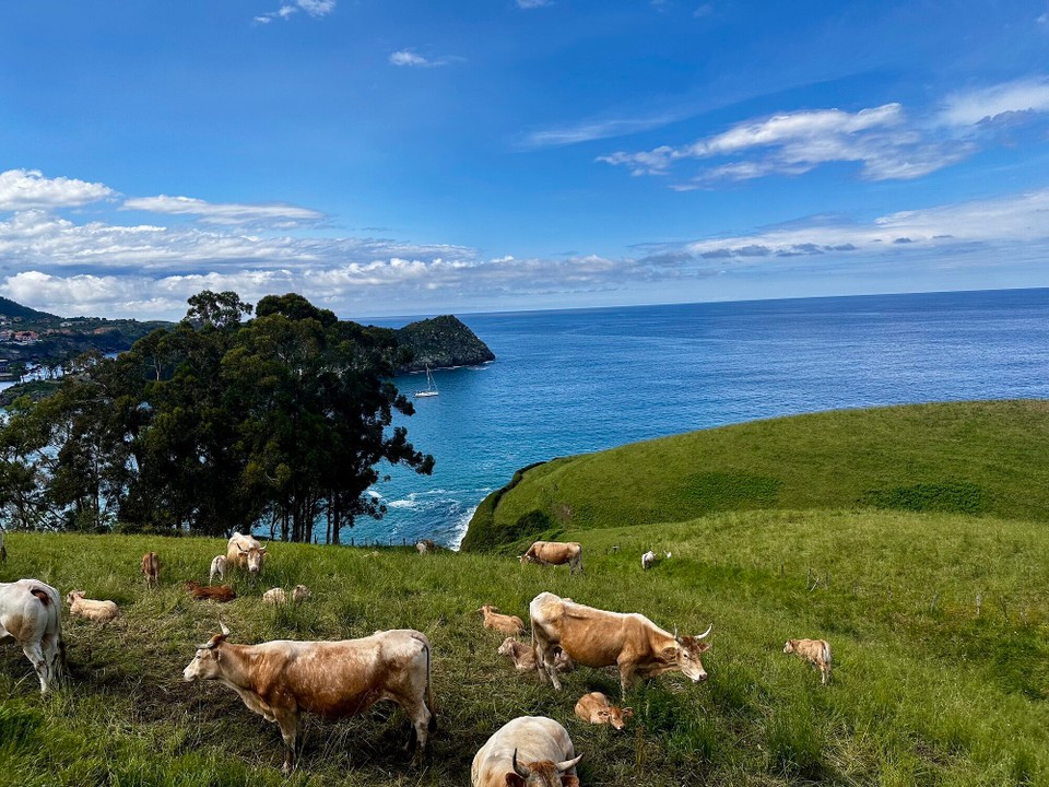 Spanien - Lekeitio - 