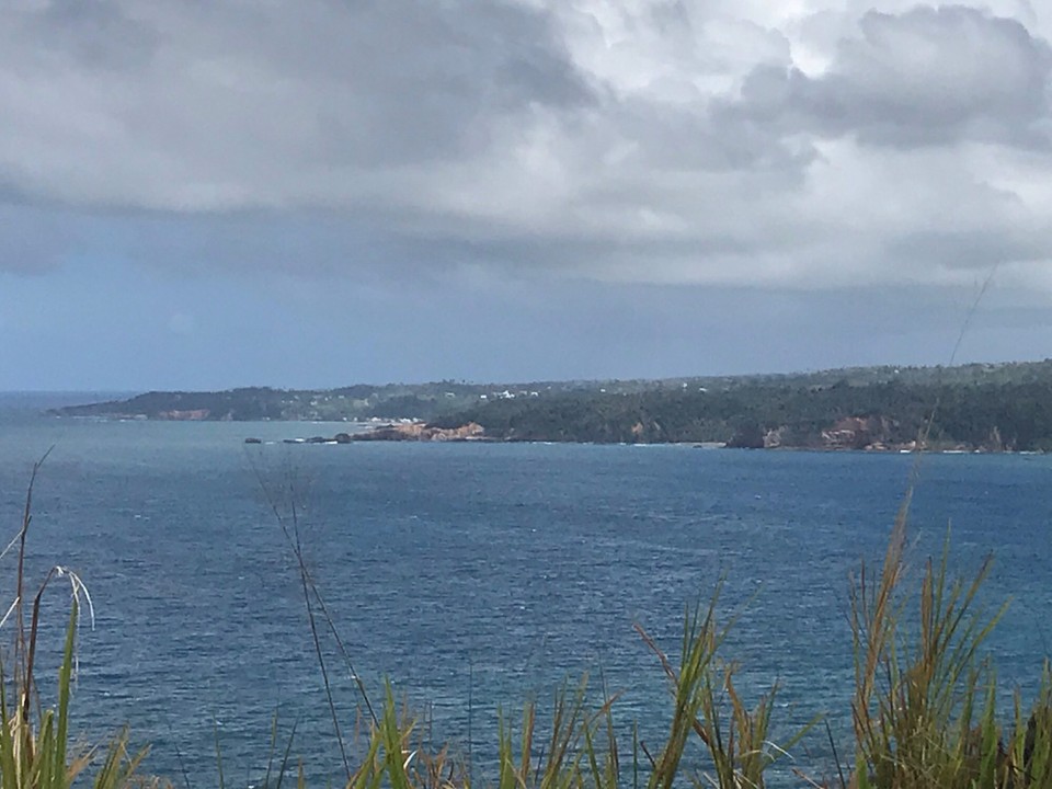 Dominica -  - 