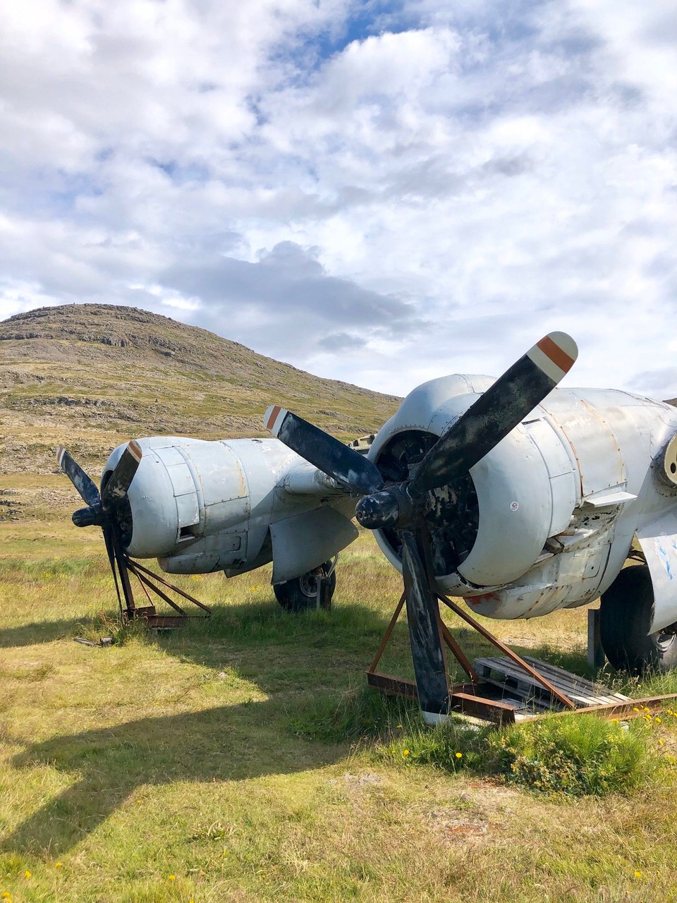 Island - Vesturbyggð - 