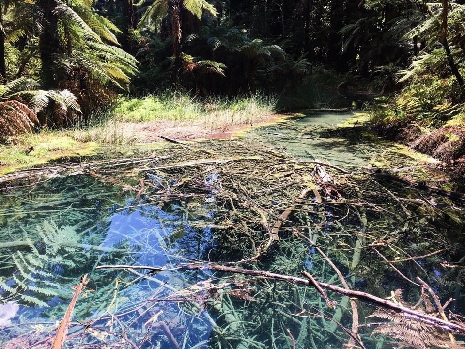 Neuseeland - Rotorua - 