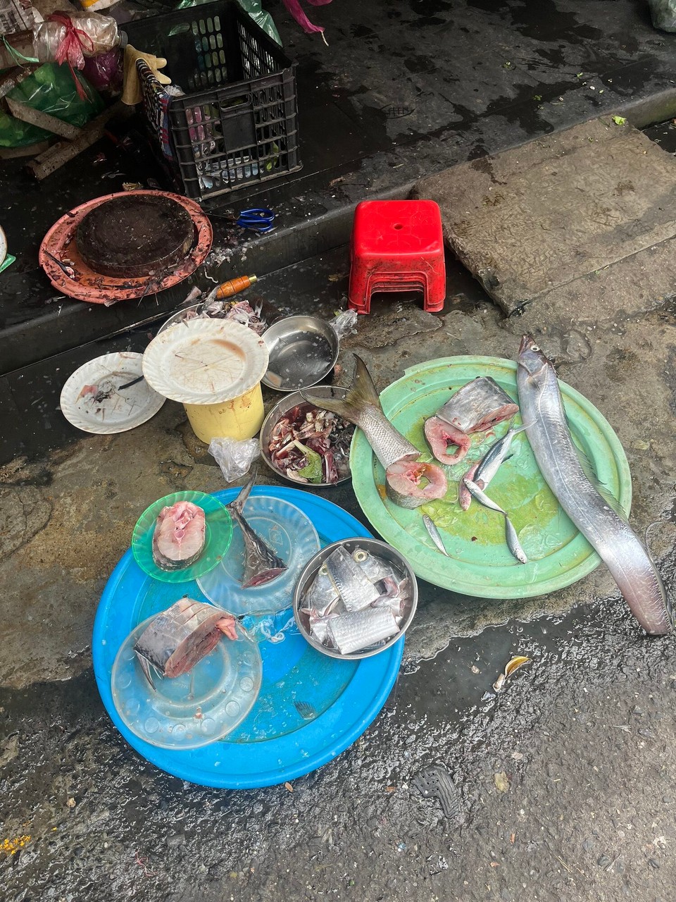 Vietnam - Hoi An - Strange sight on the way back to the hostel