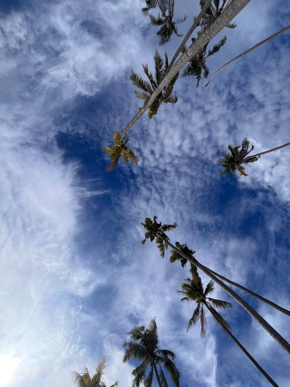 Philippines - San Juan - 