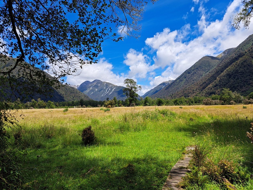 Neuseeland - Arthur’s Pass - 