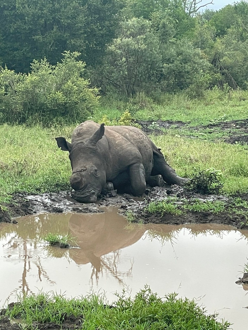 Südafrika - Sabie Park - 