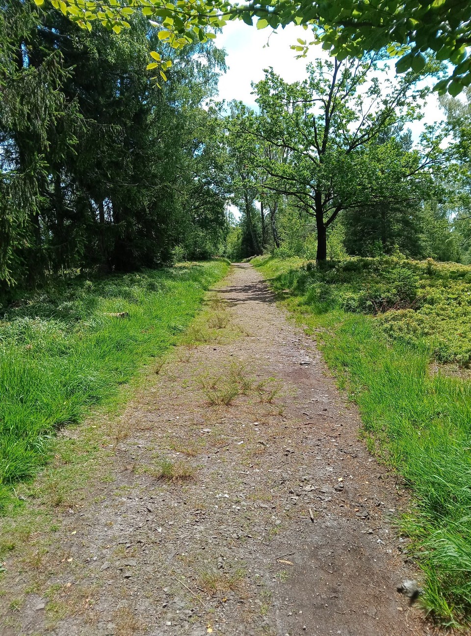 Deutschland - Horn-Bad Meinberg - 