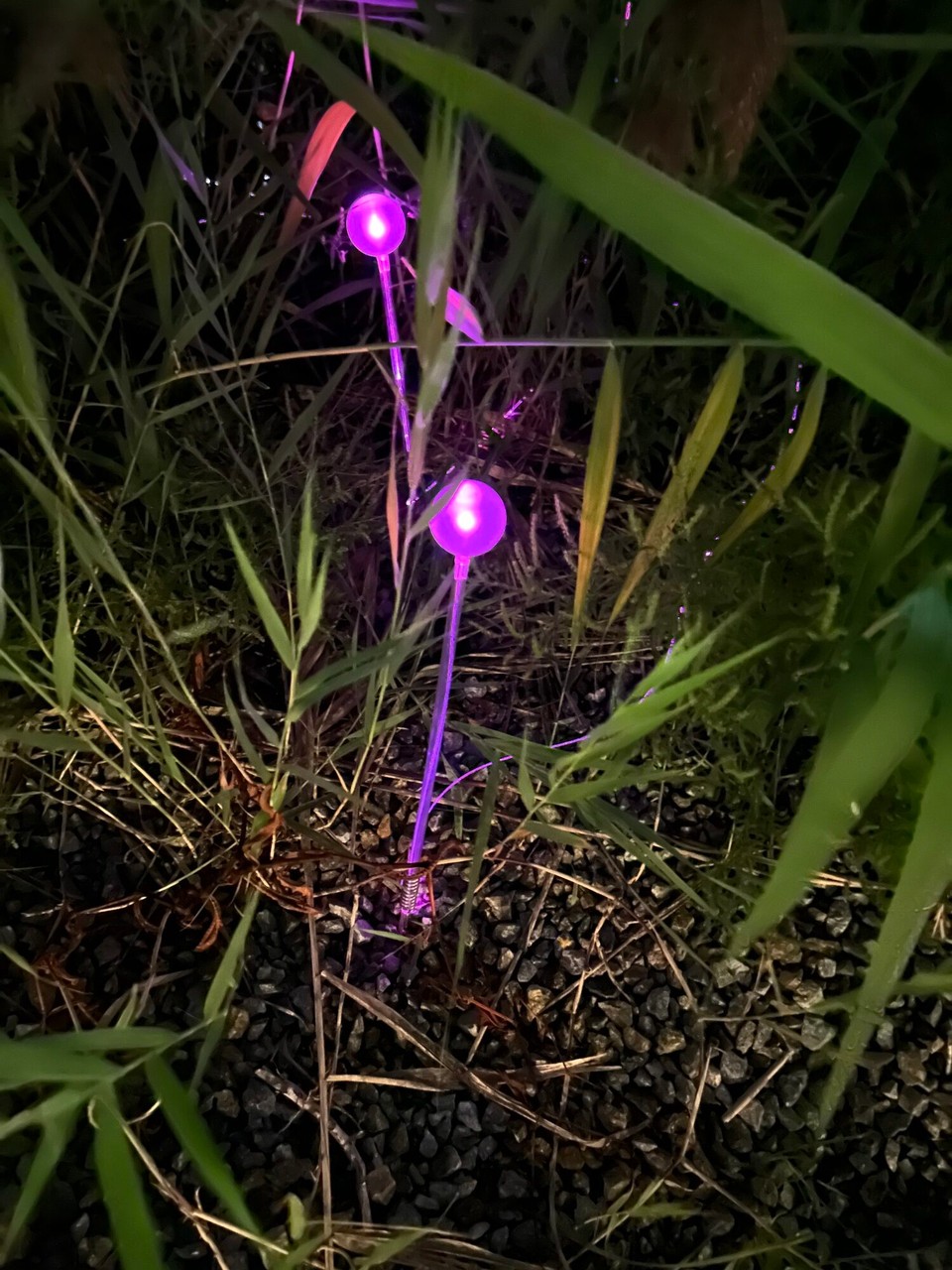 Vereinigte Staaten - New York - 