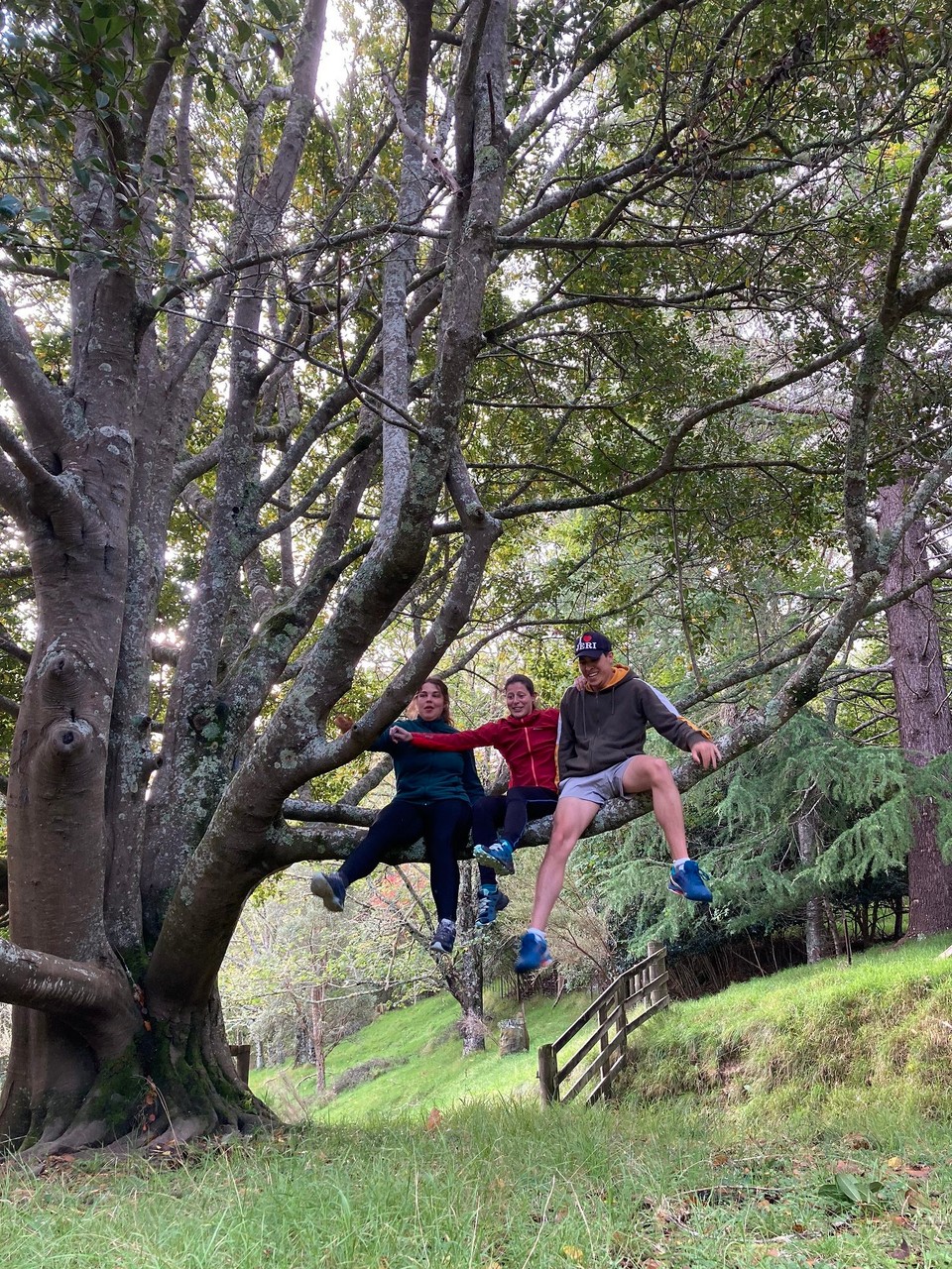 Neuseeland - Gisborne - Oh, fast wärs schief gegangen 🙈😂