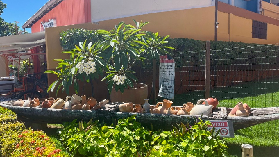 Brasilien - Mata De São João - 