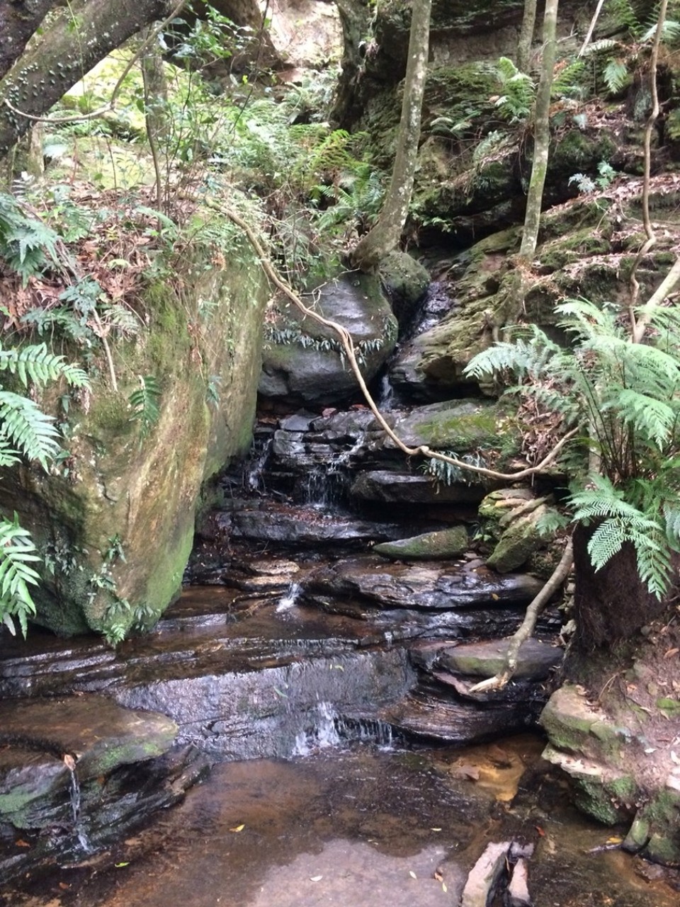 Australien - Katoomba - 
