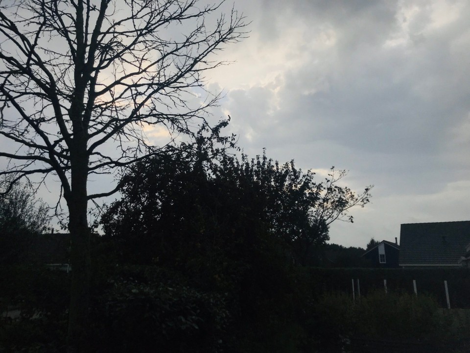Niederlande - Burgh-Haamstede - 