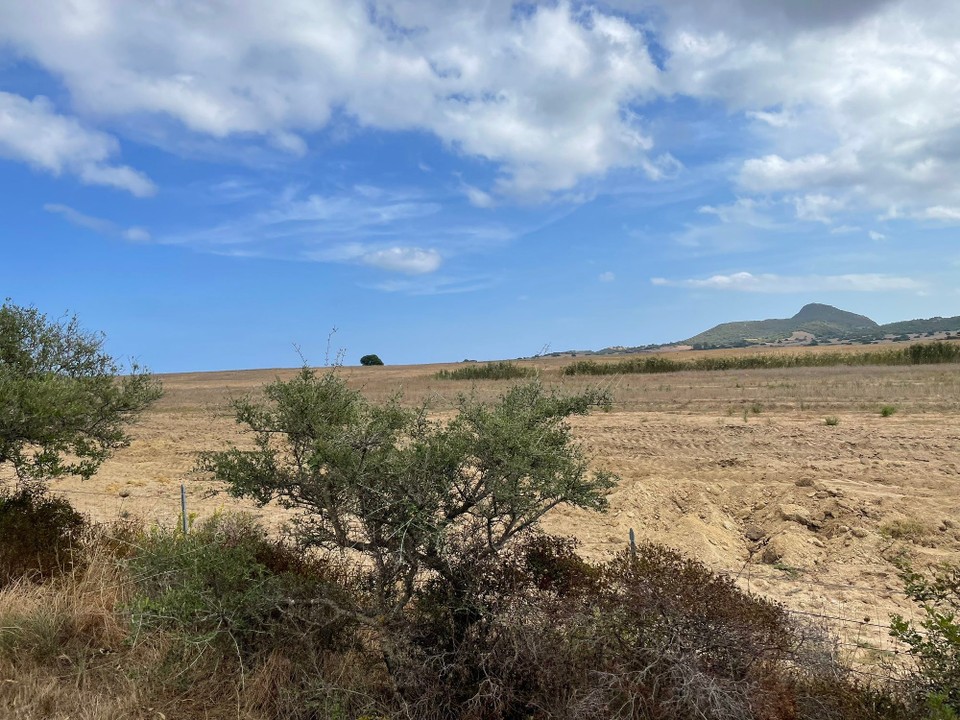 Italien - Muravera - Nix als verbrannte Felder…