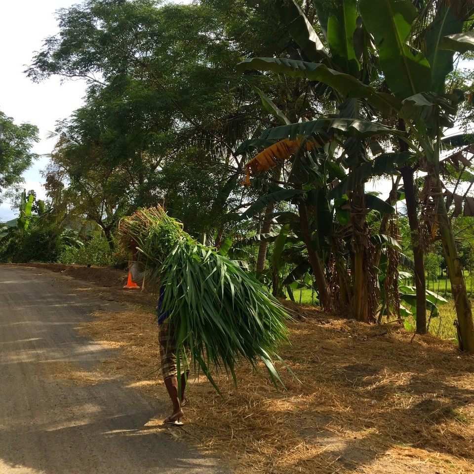Indonesien - Lombok Tengah - 