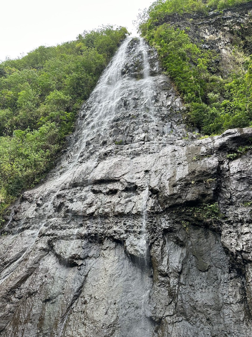 Französisch-Polynesien - Moorea-Maiao - Ich besichtige die Cascades de Afareitu, was auch mit 200CFP Parkgebühren und einer kleinen Wanderung verbunden ist. 