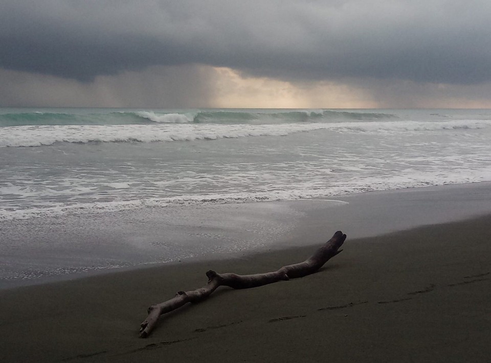 Costa Rica - Osa - 