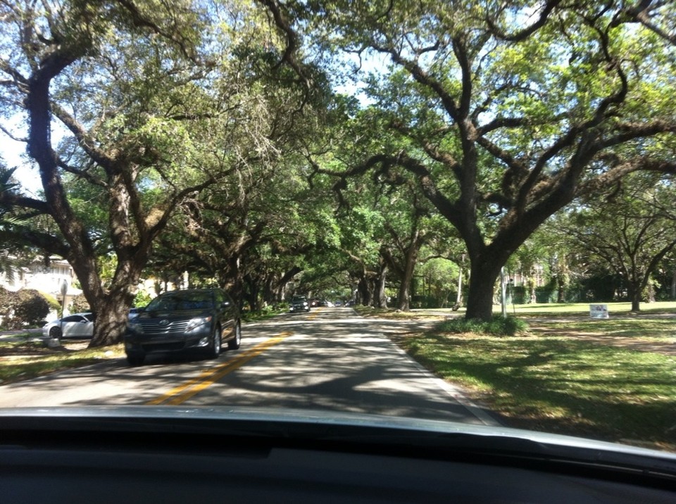 Egyesült Államok - Coral Gables - 