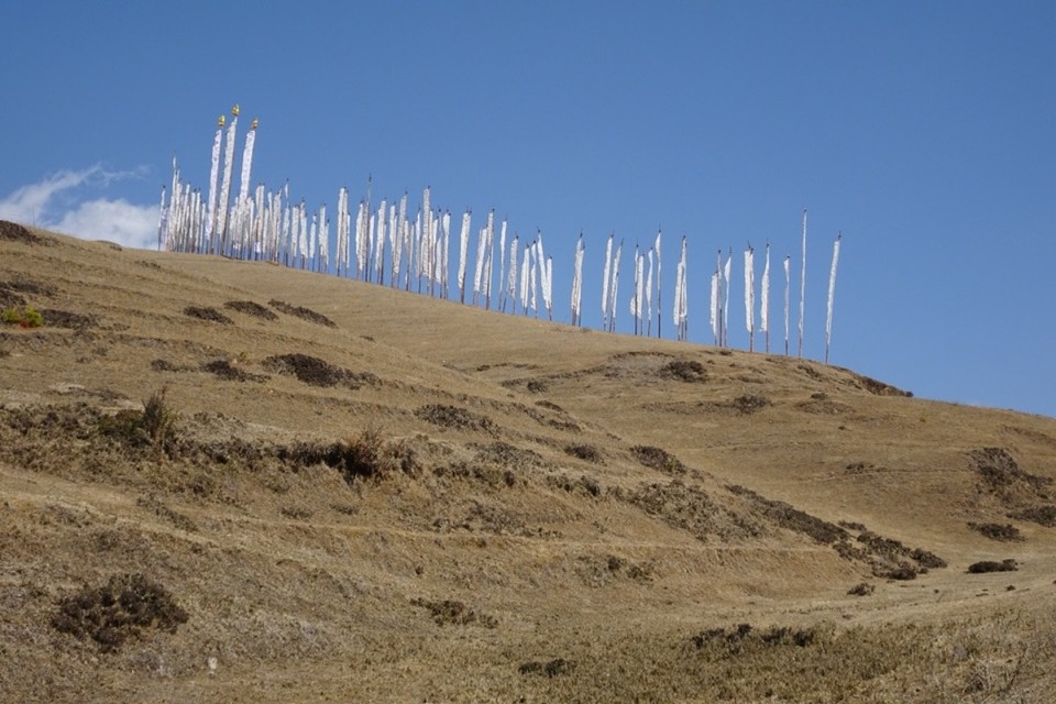 Bhutan - Gangtey (dewachen hotel) - 