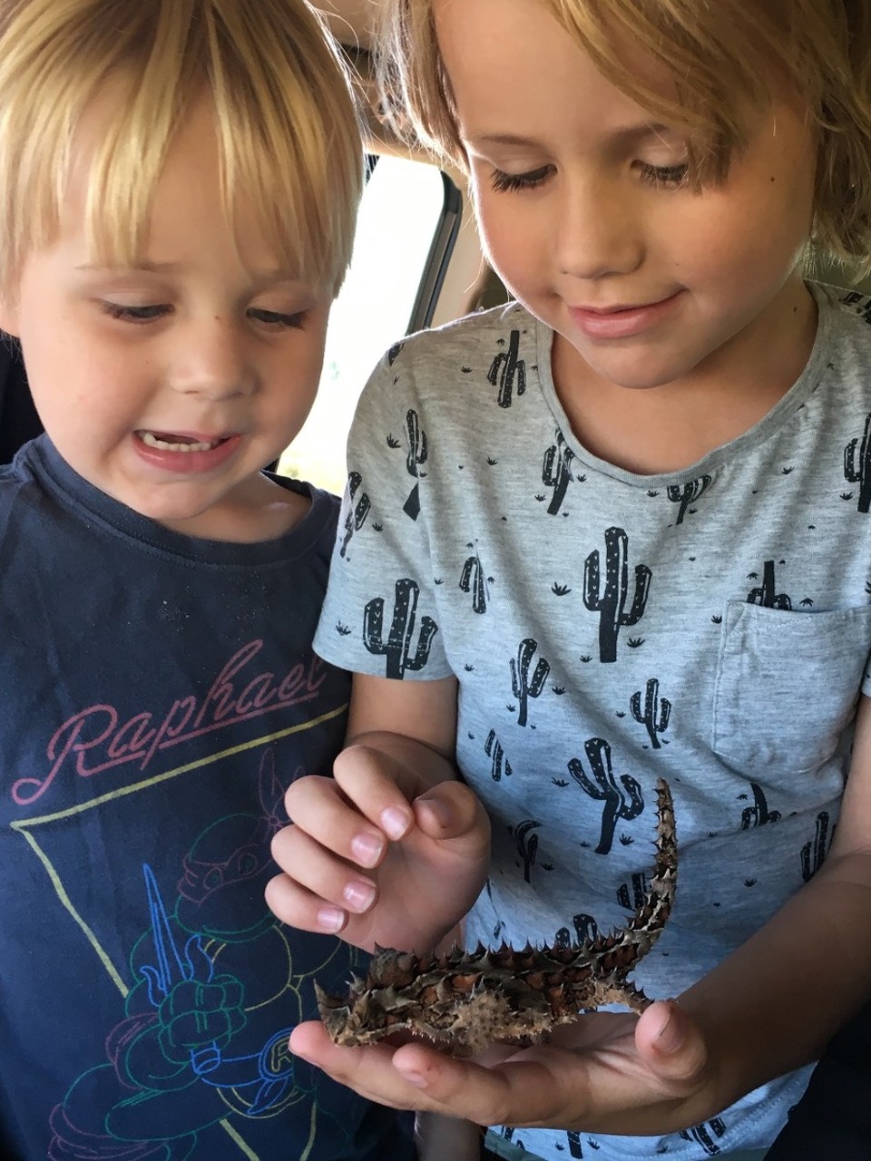 Australia - Yulara - 