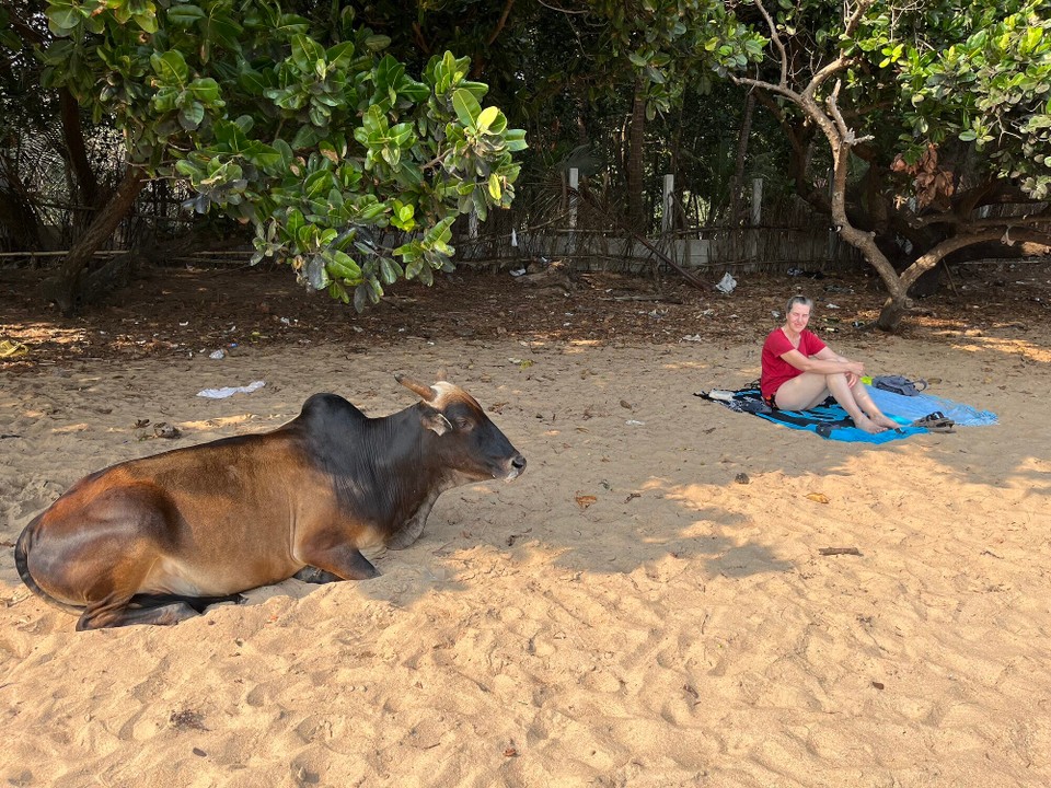 Indien - Gokarna - Om Beach