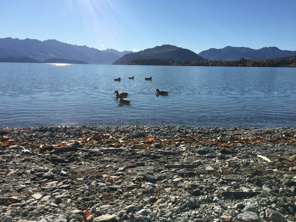 New Zealand - Wanaka - 