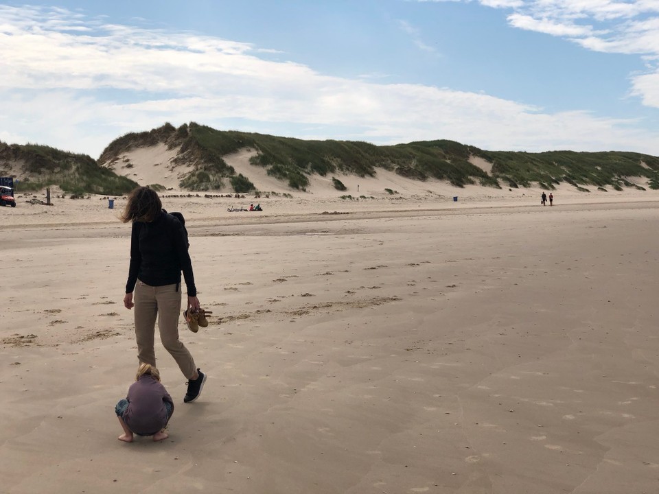 Niederlande - Schoorl - 