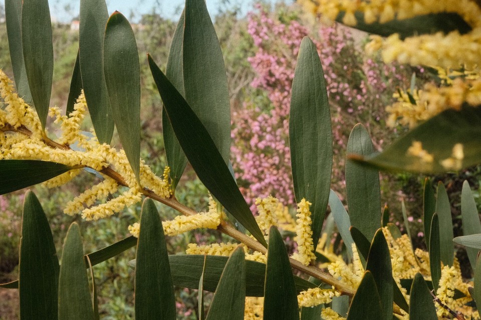 Portugal - Aljezur - 