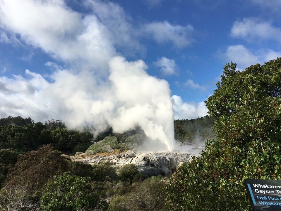 New Zealand - Rotorua - Hier haben wir den Geysir der uns zeigt, die vulkanischen Aktivitäten sind alle in Ordnung. Wenn man dieses Bild einmal nicht mehr sieht in Rotorua sollte man rennen - ganz schnell. 