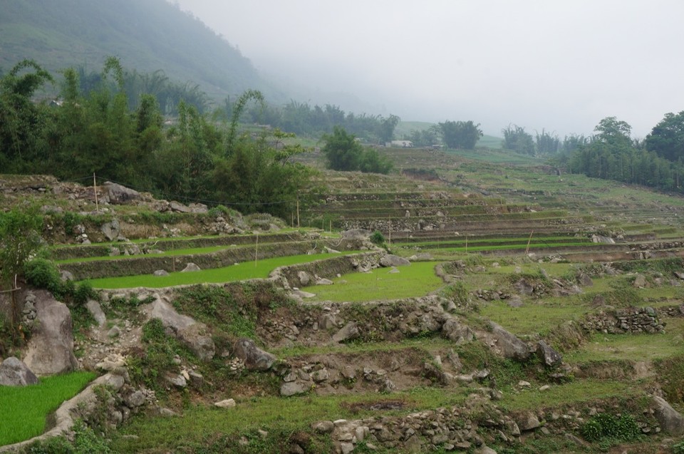 Vietnam -  - 