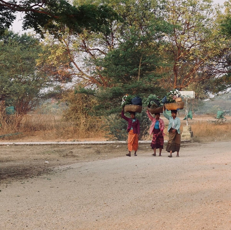 Myanmar (Burma) - Bagan - 