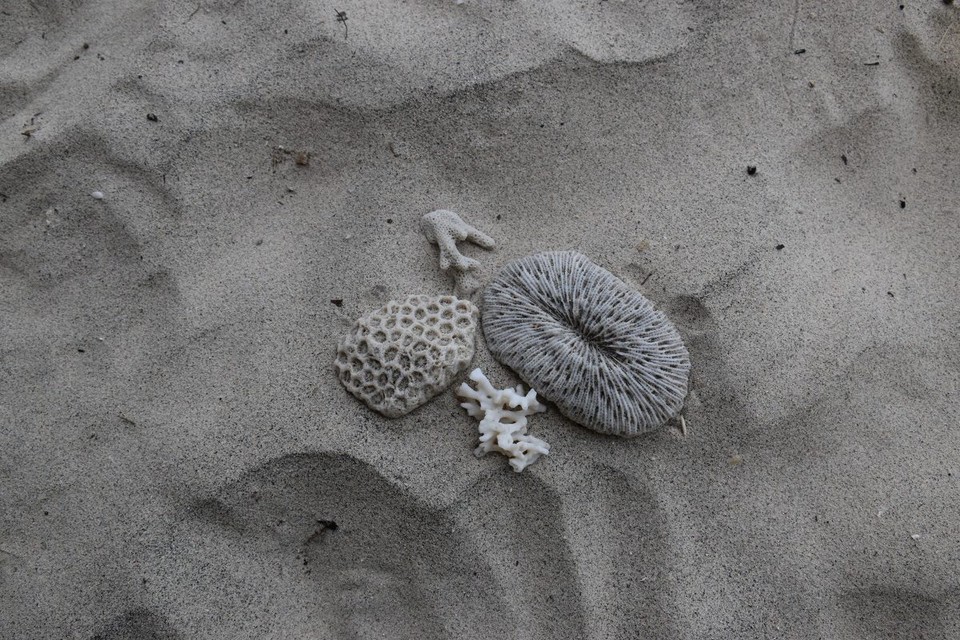 Indonesien - Kabupaten Lombok Barat - Wir sind dann noch etwas am Strand entlang geschlendert und haben Erinnerungen gesammelt.