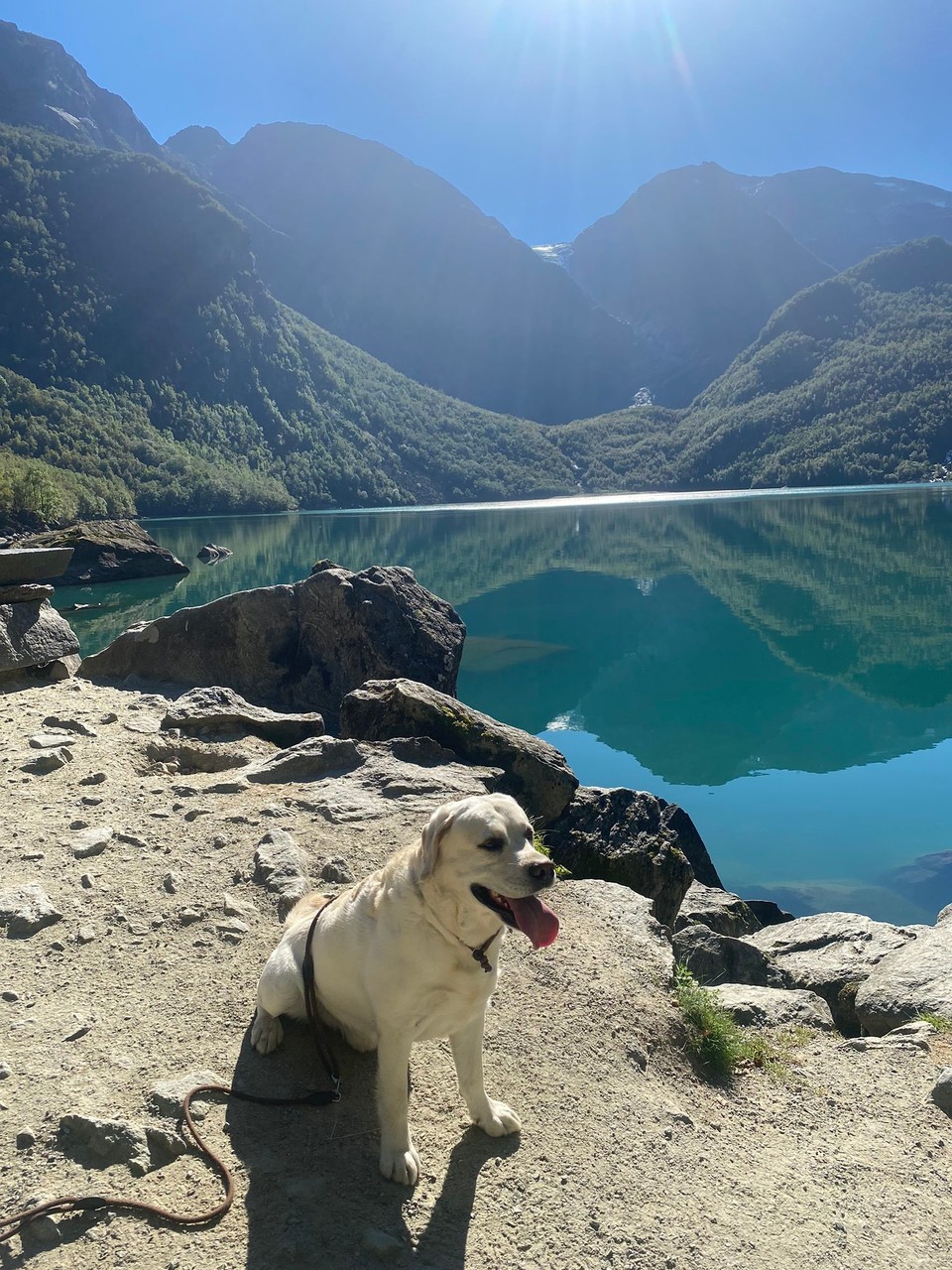 Norwegen - Mauranger - Der See ist richtig schön türkis, eine traumhafte Fotokulisse! 