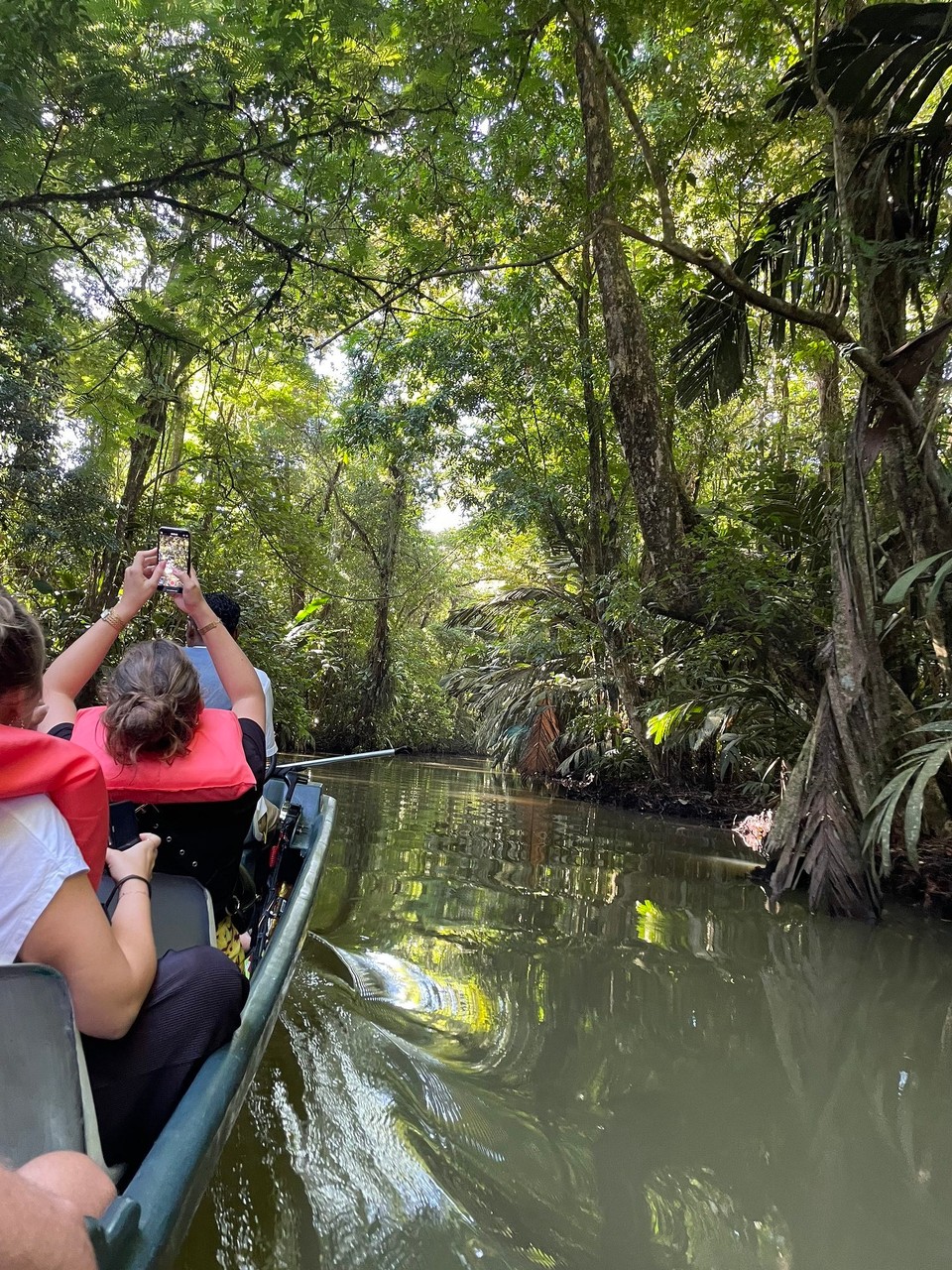 Costa Rica - Pococí - Heute sind wir um 6:00 Uhr zu unserer ersten Bootsfahrt durch die Kanäle gestartet… 🚣 