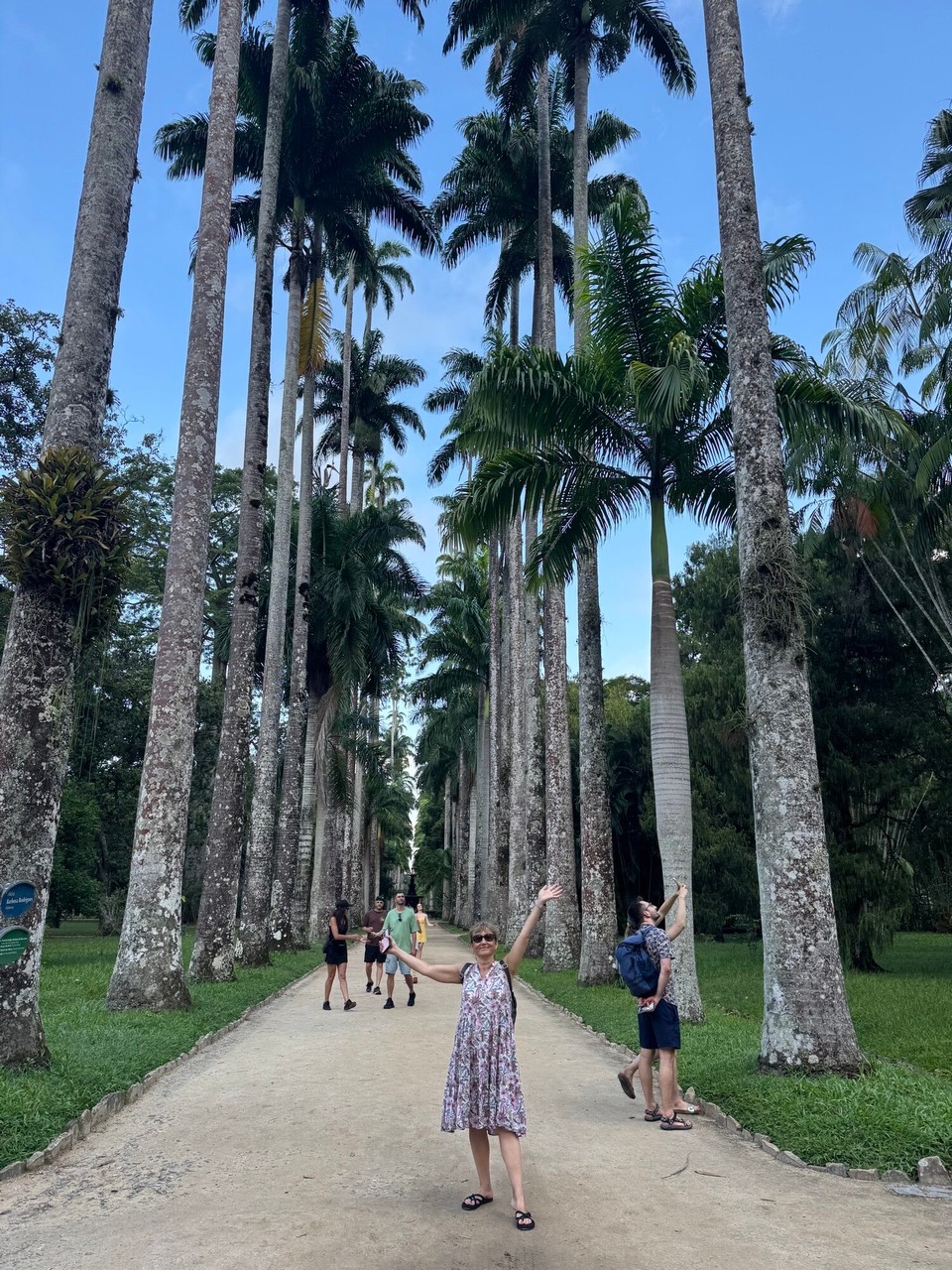 Brasilien - Rio de Janeiro - Königspalmen