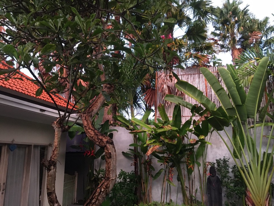 Indonesia - Seminyak - 