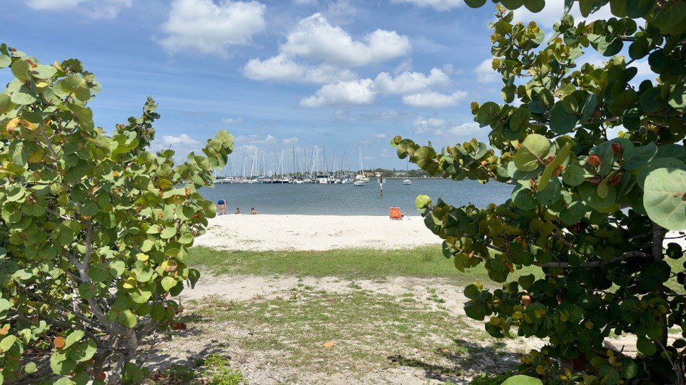 Vereinigte Staaten - Tampa - 