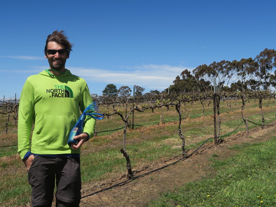 Australia - Grampians - On a préféré les blancs et choisi un chardonnay