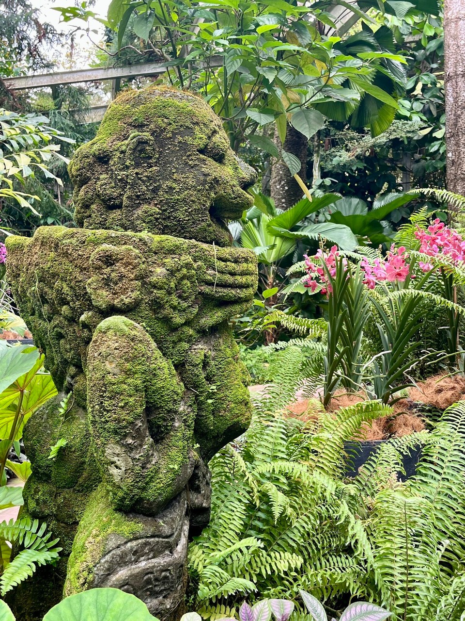 Singapur - Singapur - 