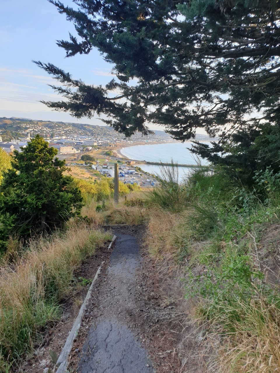 Neuseeland - Oamaru - 