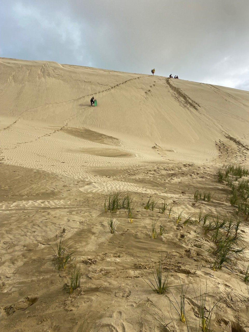 Neuseeland - Cape Reinga - In den Sanddünem 