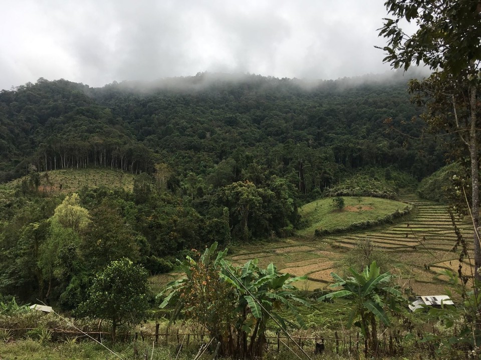 Thailand - Ban Luang - 