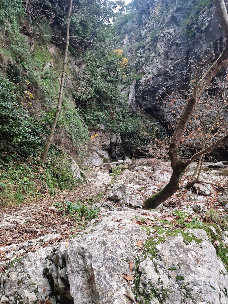 Griechenland - Vasilopoulo - 