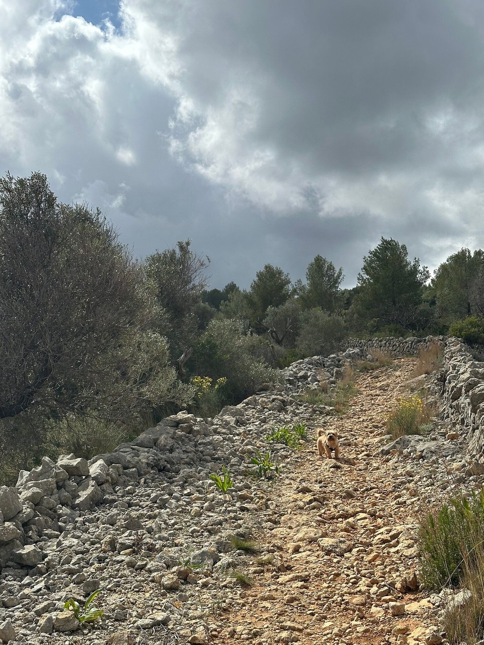 Spanien - Gata de Gorgos - 